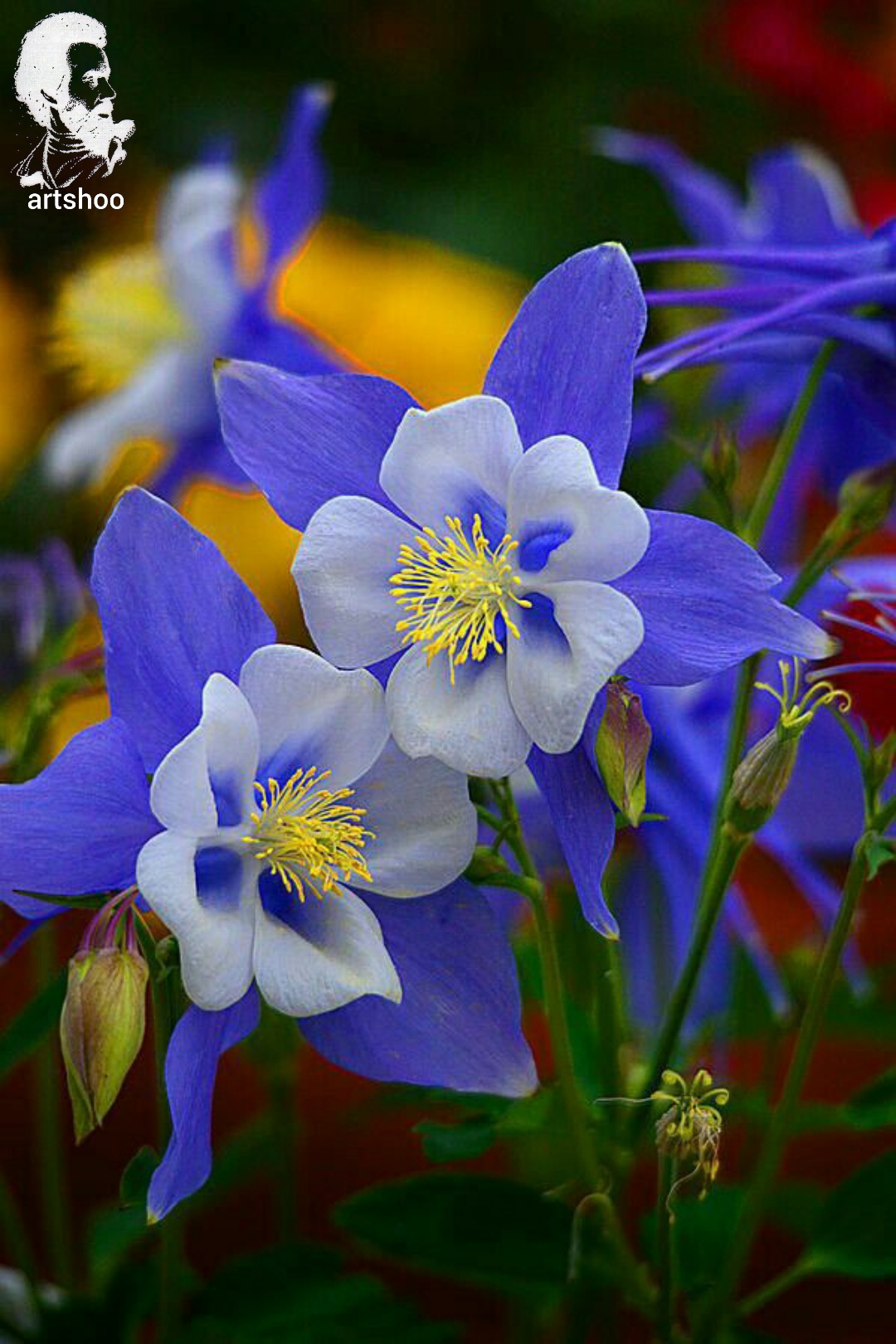 گل اورژینال رنگ روغن